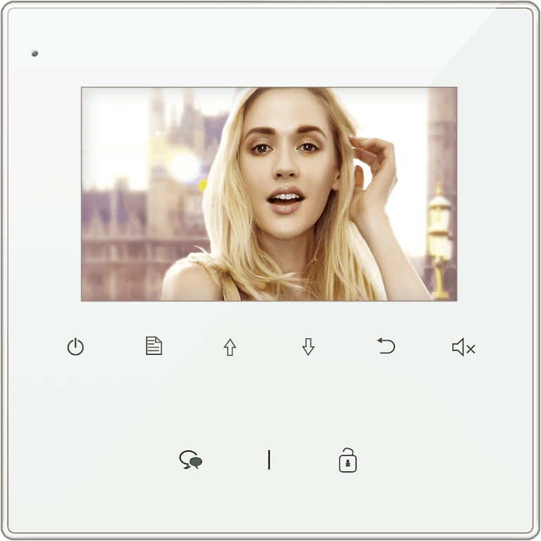 DT43-DT-43 – 4.3 Color Monitor Station